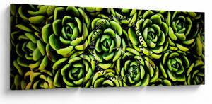 Obraz skalníc (s hodinami) (90x30 cm)