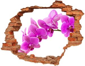 Fototapeta diera na stenu 3D Ružová orchidea nd-c-67691978