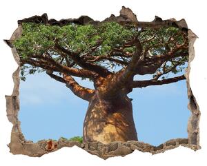 Samolepící díra na stěnu nálepka Baobab nd-k-61073116