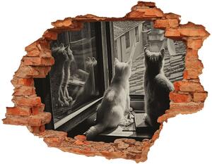 Fototapeta diera na stenu Mačky v okne nd-c-86646592
