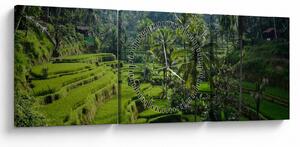 Obraz ryžových terás Tegalalang, Bali (s hodinami) (90x30 cm)