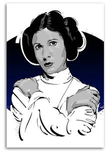 Obraz na plátne Star Wars, Leia Organa - Nikita Abakumov Rozmery: 40 x 60 cm
