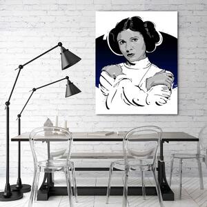 Obraz na plátne Star Wars, Leia Organa - Nikita Abakumov Rozmery: 40 x 60 cm