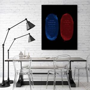 Obraz na plátne Modrá a červená pilulka - Nikita Abakumov Rozmery: 40 x 60 cm