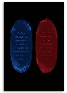 Obraz na plátne Modrá a červená pilulka - Nikita Abakumov Rozmery: 40 x 60 cm
