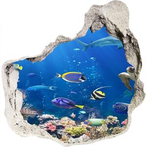 Fototapeta diera na stenu 3D Koralový útes nd-p-161347812