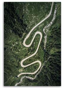 Obraz na plátne Kľukatá cesta v lese - Nikita Abakumov Rozmery: 40 x 60 cm
