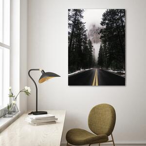 Obraz na plátne Cesta v hmlistom lese - Nikita Abakumov Rozmery: 40 x 60 cm