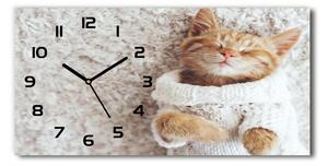 Vodorovné Sklenené hodiny na stenu Mačka sveter