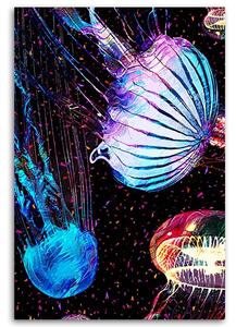 Obraz na plátne Farebná abstrakcia medúzy - Gab Fernando Rozmery: 40 x 60 cm