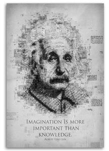 Obraz na plátne Vedec Albert Einstein - Gab Fernando Rozmery: 40 x 60 cm