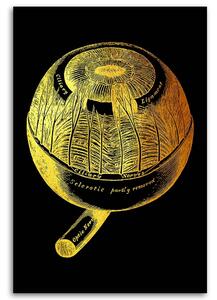 Obraz na plátne Zlatá anatómia, oko - Gab Fernando Rozmery: 40 x 60 cm