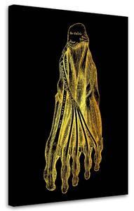 Obraz na plátne Zlatá anatómia, chodidlo - Gab Fernando Rozmery: 40 x 60 cm