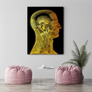 Obraz na plátne Zlatá anatómia, svaly tváre - Gab Fernando Rozmery: 40 x 60 cm