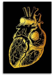 Obraz na plátne Zlatá anatómia, ľudské srdce - Gab Fernando Rozmery: 40 x 60 cm