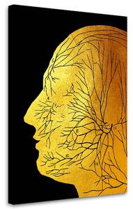 Obraz na plátne Zlatá anatómia, tvárové nervy - Gab Fernando Rozmery: 40 x 60 cm