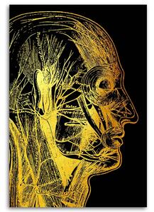 Obraz na plátne Zlatá anatómia, bočná strana - Gab Fernando Rozmery: 40 x 60 cm