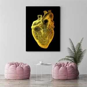 Obraz na plátne Zlatá anatómia, srdce - Gab Fernando Rozmery: 40 x 60 cm