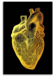 Obraz na plátne Zlatá anatómia, srdce - Gab Fernando Rozmery: 40 x 60 cm