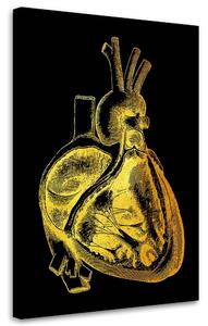 Obraz na plátne Zlatá anatómia, prierez srdcom - Gab Fernando Rozmery: 40 x 60 cm