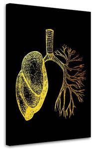 Obraz na plátne Zlatá anatómia, Pľúca - Gab Fernando Rozmery: 40 x 60 cm