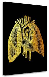 Obraz na plátne Zlatá anatómia, ľudské pľúca - Gab Fernando Rozmery: 40 x 60 cm