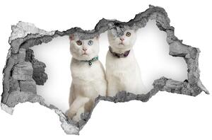 Nálepka fototapeta 3D na stenu Biele mačky nd-b-97350767