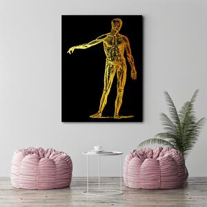 Obraz na plátne Zlatá anatómia, telo - Gab Fernando Rozmery: 40 x 60 cm