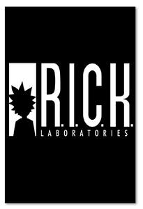 Obraz na plátne Animovaný seriál R.I.C.K. labs - Dr.Monekers Rozmery: 40 x 60 cm