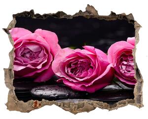 Samolepící díra na stěnu Ružových ruží nd-k-77048055