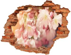 Foto fotografie diera na stenu Čerešňové kvety