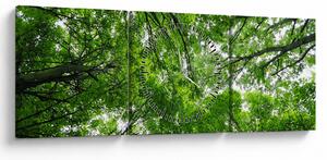 Obraz - Pohľad do korún stromov (s hodinami) (90x30 cm)