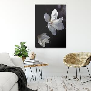 Obraz na plátne Kvet z kvitnúceho stromu - Dmitry Belov Rozmery: 40 x 60 cm