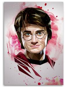 Obraz na plátne Harry Potter, čarodejník - Dmitry Belov Rozmery: 40 x 60 cm