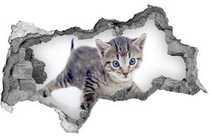 Samolepiaca diera nálepka Malá mačka nd-b-95620650