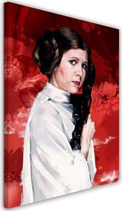 Obraz na plátne Star Wars, portrét Leia - Dmitry Belov Rozmery: 40 x 60 cm