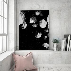 Obraz na plátne Čiernobiele pivonky - Dmitry Belov Rozmery: 40 x 60 cm