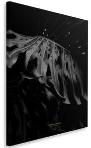 Obraz na plátne Čiernobiela monstera - Dmitry Belov Rozmery: 40 x 60 cm