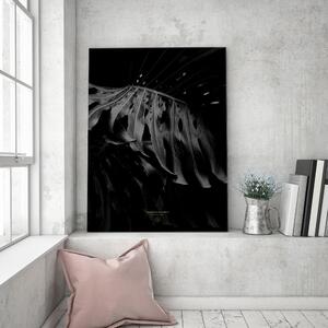 Obraz na plátne Čiernobiela monstera - Dmitry Belov Rozmery: 40 x 60 cm