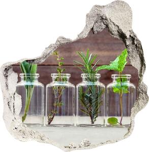 Nálepka 3D diera na stenu Rastliny v nádobách
