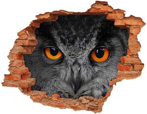 Diera 3D fototapeta nálepka Diabolské oči sovu
