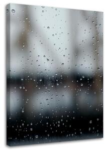 Obraz na plátne Kvapky dažďa na okne - Dmitry Belov Rozmery: 40 x 60 cm