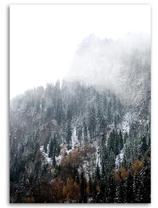 Obraz na plátne Zasnežené hory - Dmitry Belov Rozmery: 40 x 60 cm
