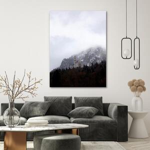 Obraz na plátne Neuschwanstein - Dmitry Belov Rozmery: 40 x 60 cm