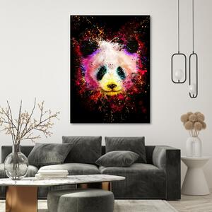 Obraz na plátne Dúhová panda - Dmitry Belov Rozmery: 40 x 60 cm