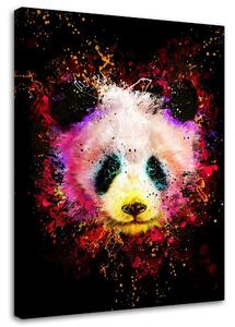 Obraz na plátne Dúhová panda - Dmitry Belov Rozmery: 40 x 60 cm