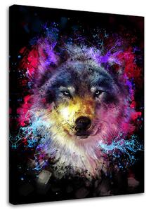 Obraz na plátne Farebný vlk - Dmitry Belov Rozmery: 40 x 60 cm
