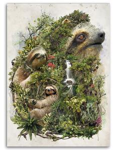 Obraz na plátne Leňochod v lese - Barrett Biggers Rozmery: 40 x 60 cm
