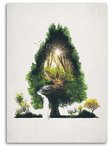 Obraz na plátne Cesta v strome - Barrett Biggers Rozmery: 40 x 60 cm