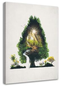 Obraz na plátne Cesta v strome - Barrett Biggers Rozmery: 40 x 60 cm